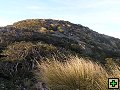 thn_Ruahine - Sunrise Hut 037.jpg
